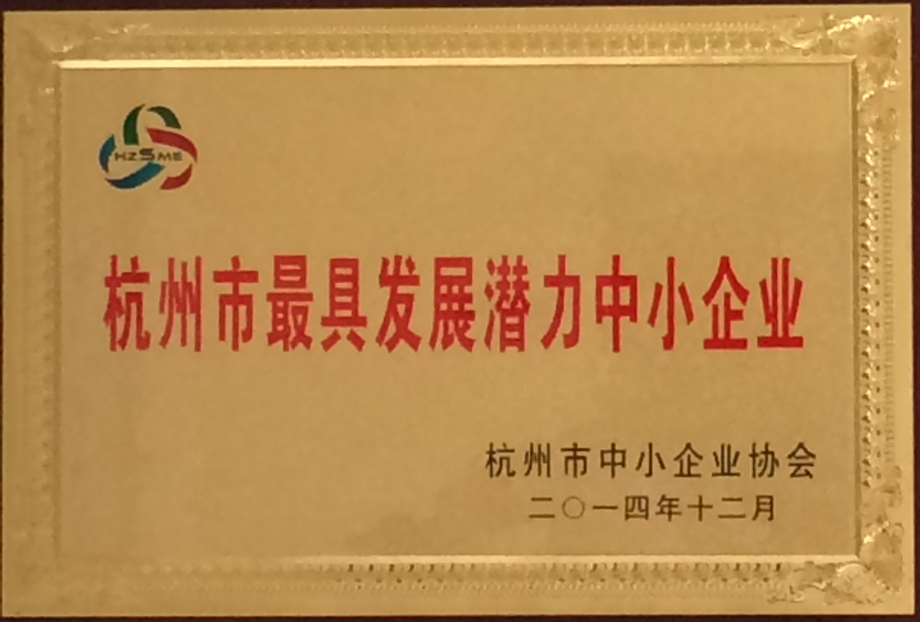 2014年杭州市最具發展潛力中小企業